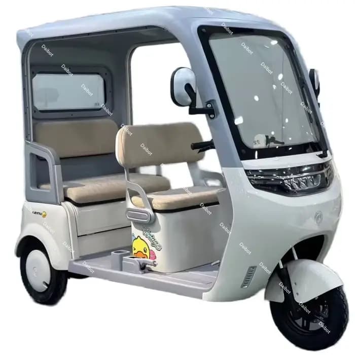 Scooter électrique de mobilité à 3 roues pour personnes âgées, Tricycle électrique adulte à 3 places