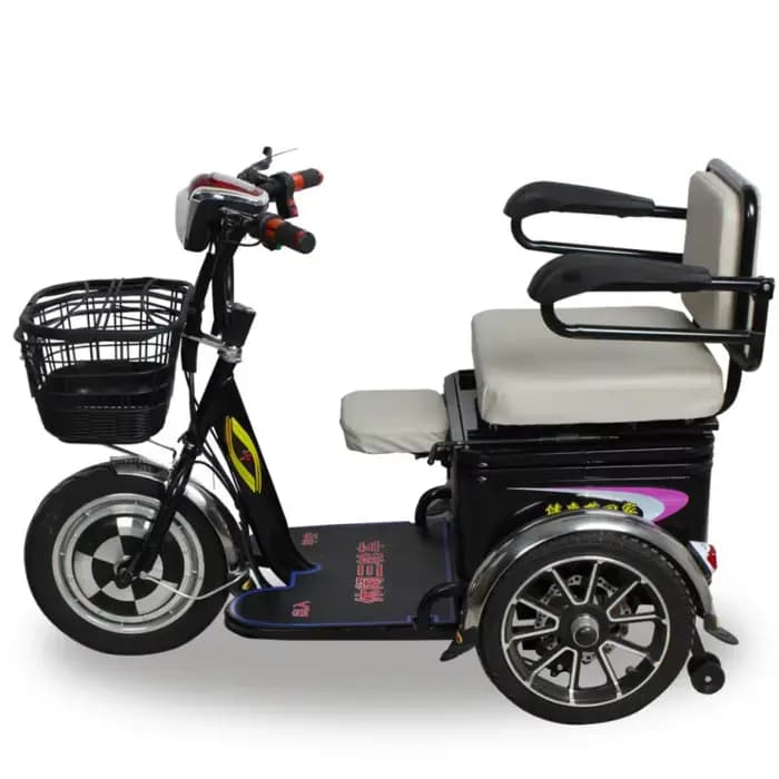 Tricycle Cargo Électrique à 3 Roues pour Adulte et Enfant, Bicyclette Légère de 48V avec Siège Arriè