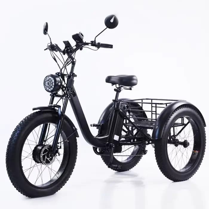 Tricycle électrique de chargement de 3 roues pour adulte puissant 750W 48V 15AH 24 pouces gros VTT é
