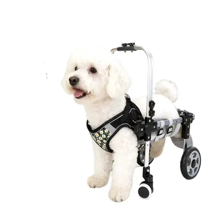 Fauteuil roulant amélioré léger, extensible et réglable à quatre roues pour chiens et chats, pour le