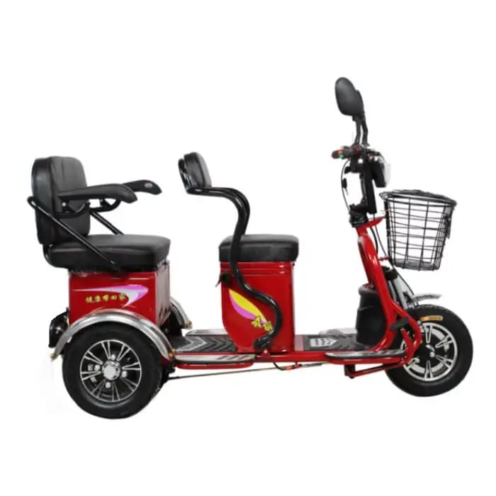 Mini Scooter électrique adulte 3 roues 48V 600W Tricycle électrique pour deux personnes pour femmes 