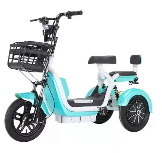 Prix d'usine 2024, scooter électrique à trois roues de 14 pouces, moteur 500W, 48V 20Ah, tricycle él