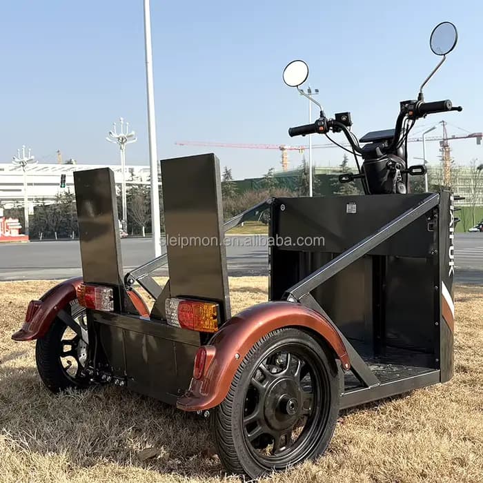 Les fabricants vendent des tricycles électriques 800 W spécifiquement conçus pour les personnes handicapées