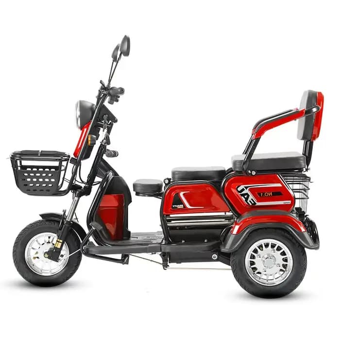 Trottinette de mobilité à 3 roues pour personnes âgées 800W 60V 30AH Parents enfants Tricycles électriques pour femmes 2 sièges adultes avec siège réglable