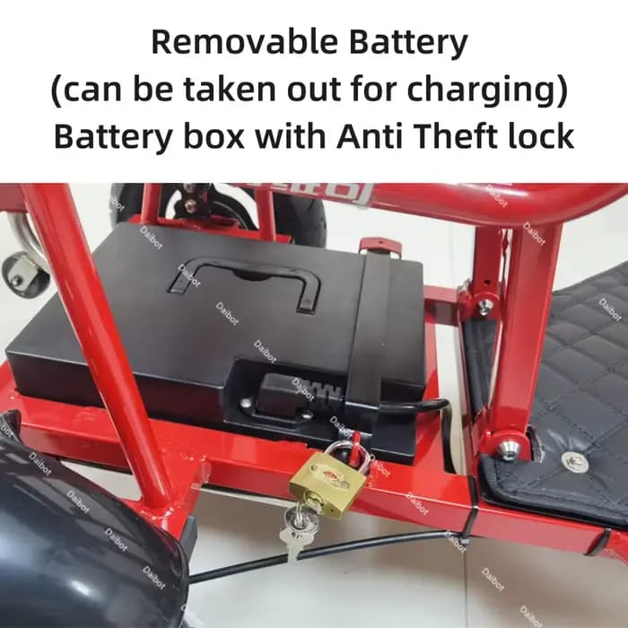 Tricycle électrique pliable à double moteur pour adultes