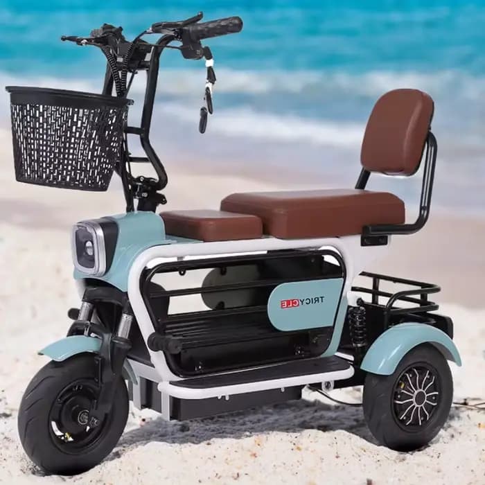 400W 48V Pet bleu Scooter électrique avec siège/3 paniers passager Tricycle