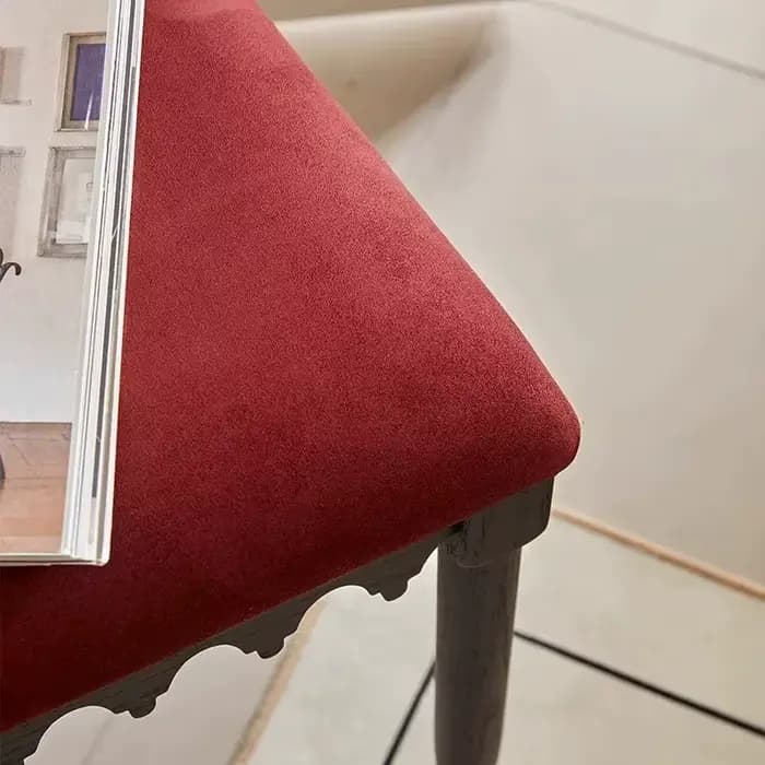 Chaise de salle à manger individuelle de luxe relaxante pour adultes, style accent, pour salle d'attente, cuisine, salon, mobilier de maison minimaliste et élégant