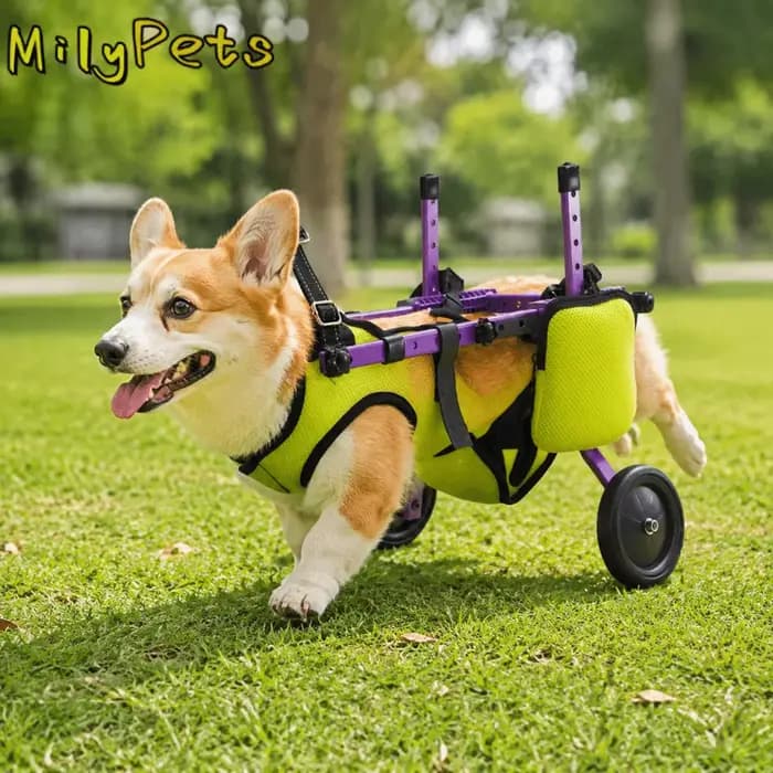 Fauteuil roulant réglable pour chien