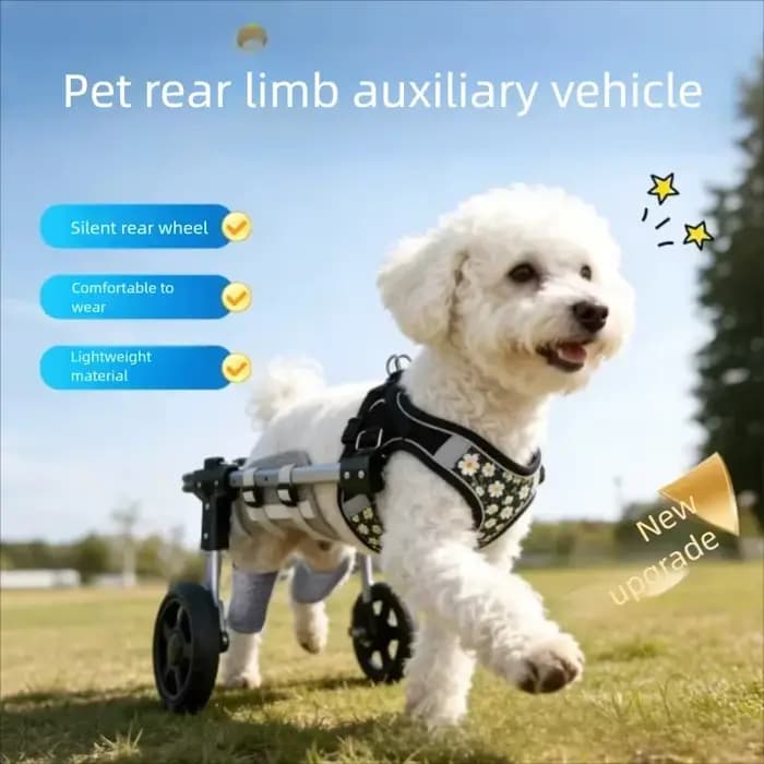 Chariot de Mobilité Réglable pour Animaux de Compagnie avec Roues – Aide à la Rééducation pour Chiens et Chats