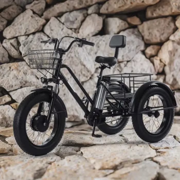 Tricycle électrique assisté par pédale de gros pneu de 20 pouces pour adultes 48V 500W 12AH vélo