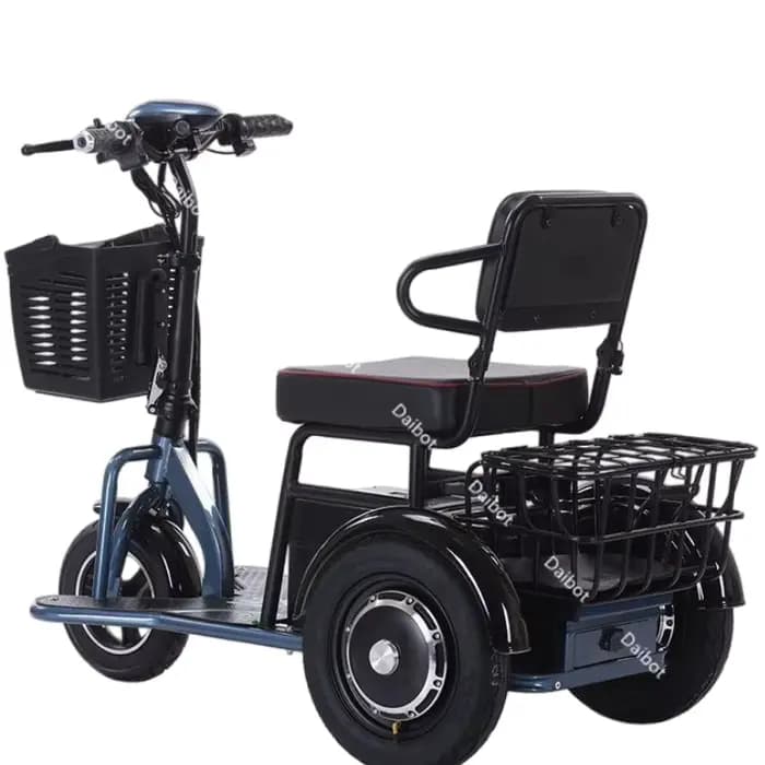 Petit Tricycle électrique pré-assemblé