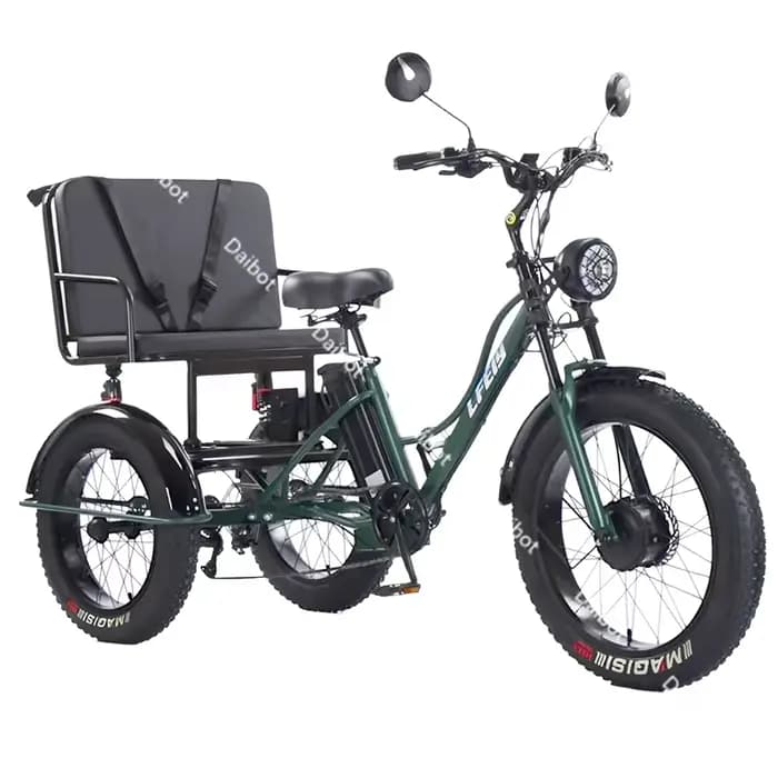 Vélo électrique Cargo à 3 roues 750w avec siège passager pour personnes âgées nouveau