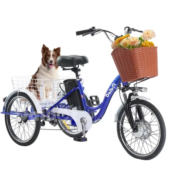 Tricycle électrique adulte à 3 roues