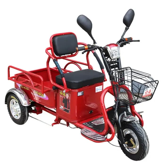 Tricycle électrique adulte à 3 roues pour personnes âgées