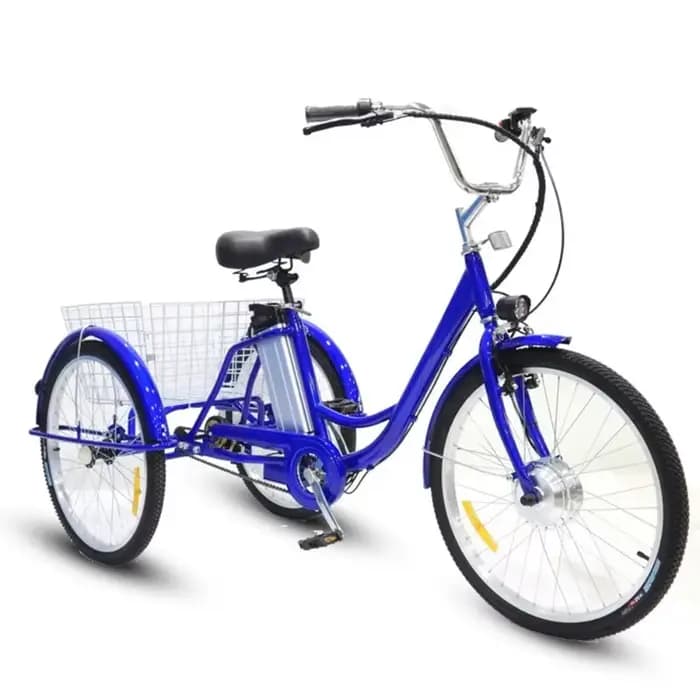 24 pouces 3 roues Tricycle électrique Cargo vélo adulte Senior avec panier arrière 350W famille