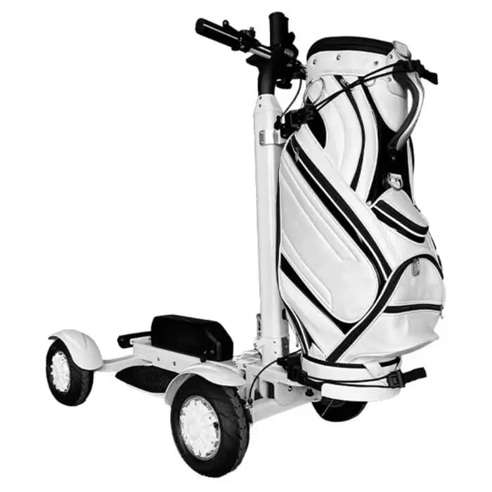 Trottinette électrique puissante et solide amovible avec chariot de Golf 4 roues Scooters électriques Scooter de mobilité de voyage tout Terrain