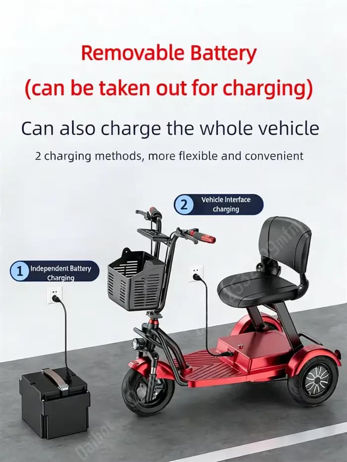1000W puissant voyage 3 roues léger pliant Scooter de mobilité pour personnes âgées 48V petit Tricycle électrique