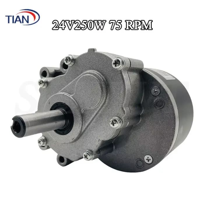 Moteur brossé DC 24V pour fauteuils roulants électriques, remplacement, couple élevé 75/120/160 tr/m