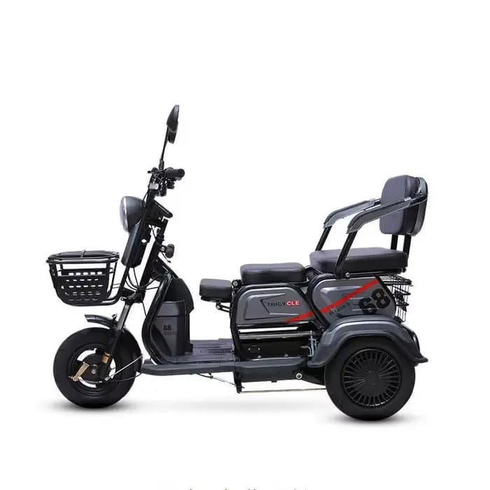 Tricycle électrique de 14 pouces pour Scooters de mobilité Aduto 48V à 3 roues avec pneu sous vide à