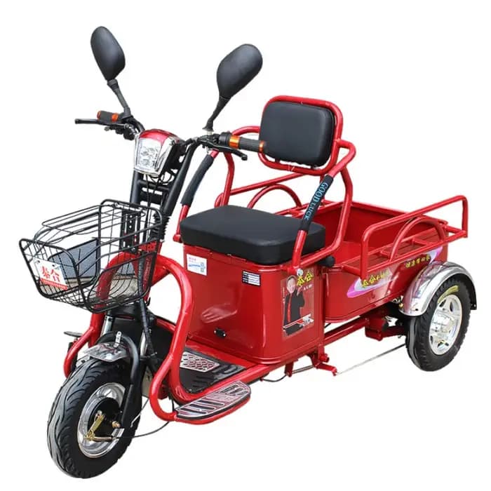 Tricycle électrique puissant à longue portée 1000W, pour famille de fret, Scooter de mobilité électr