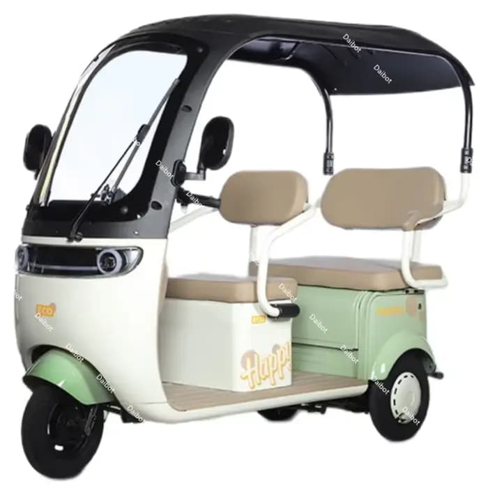 Tricycle Électrique Cargo avec Siège Passager pour Adulte, Scooter de Mobilité Principale, Trottinet