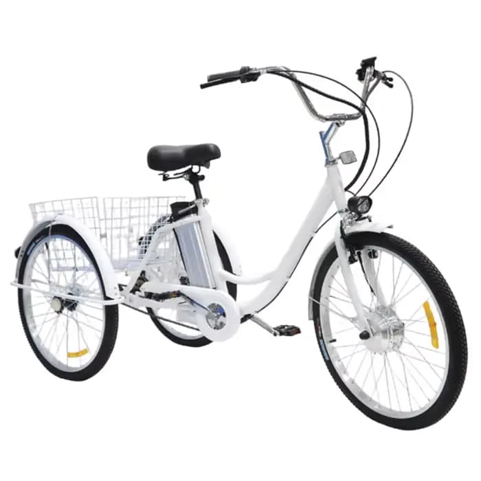 Vélo Cargo électrique à 3 roues pour adultes âgés, Tricycles électriques de 24 pouces, 350W, 36V, po