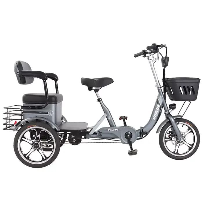Tricycle Électrique Pliant à 3 Roues pour Deux Adultes, Bicyclette Électrique de 400W et 48V avec Si