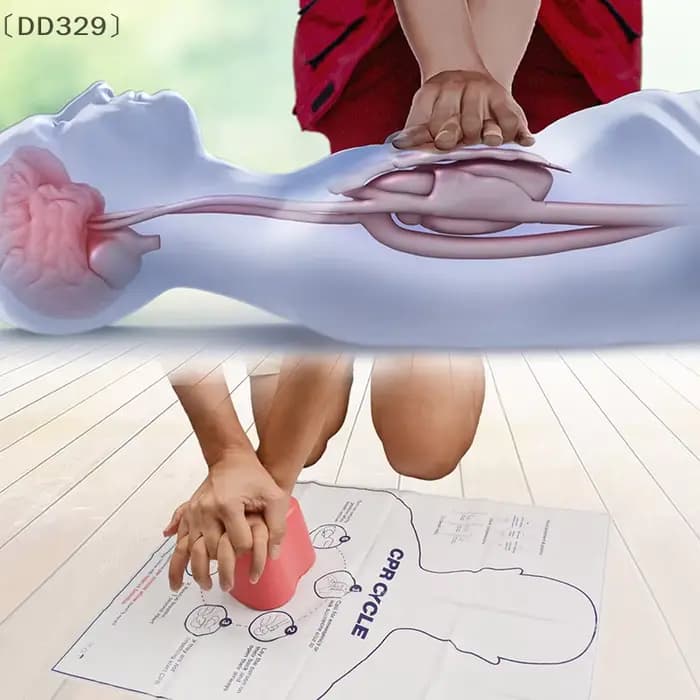 maveraDD329 AnelMini En forme de coeur Entraînement de premiers secours Outil d'enseignement de sauvetage Corps Médical Factice Cpr Modèle de mannequin d'allaitement Modèle de formation
