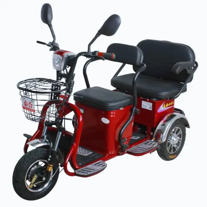 Mini Scooter électrique adulte 3 roues 48V 600W Tricycle