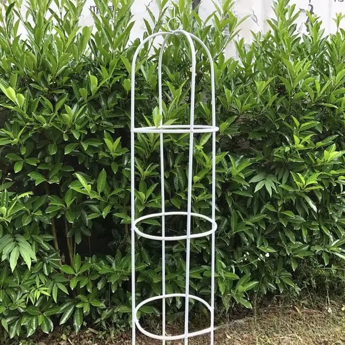 1 pièce Treillis de jardin en métal, Obélisque, 188 cm de hauteur, support pour plantes grimpantes, pour fleurs en pot, vignes, roses et clématites d'extérieur