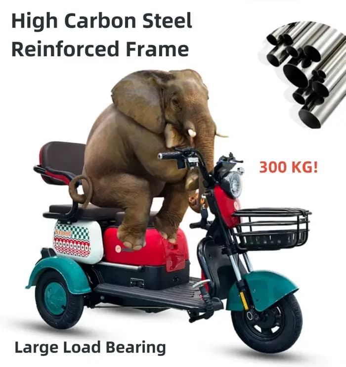 1000W 60V nouveau Scooter électrique marron rose pour personnes âgées femmes 3 roues Tricycle