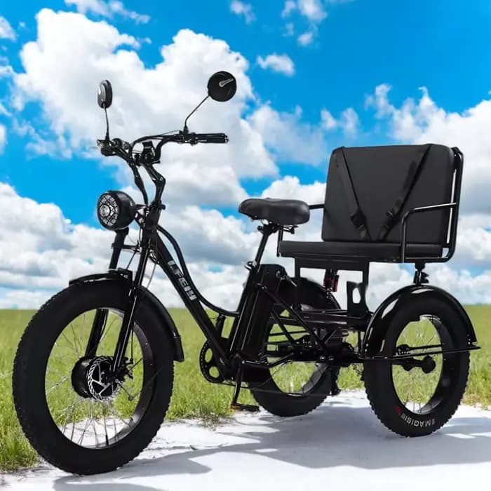 Vélo électrique Cargo à 3 roues 750w avec siège passager pour personnes âgées nouveau