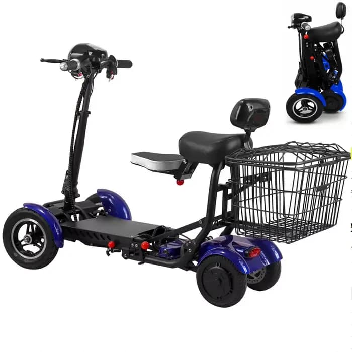 Scooter électrique adulte handicapé Double moteur 500W36V 2 places