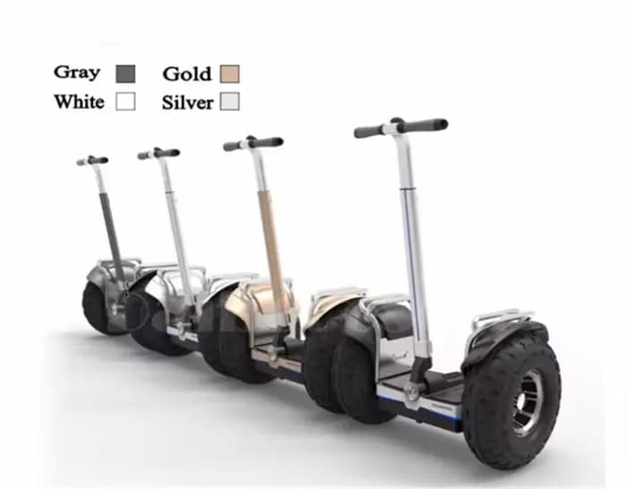 Daibot hors route adulte Scooter électrique 19 pouces auto équilibrage Scooters 1200W * 2