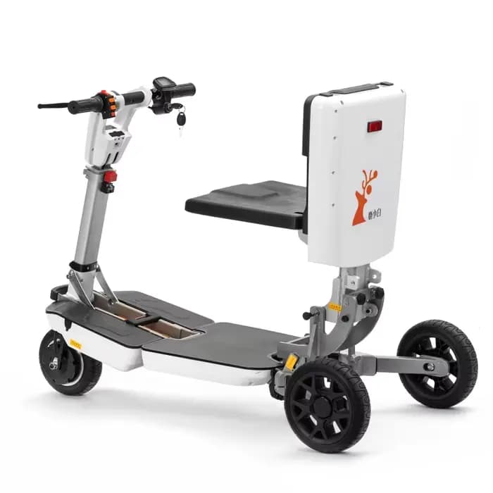 Mini Tricycle Électrique Pliable et observateur à 3 Roues pour Adultes et Personnes handicapées