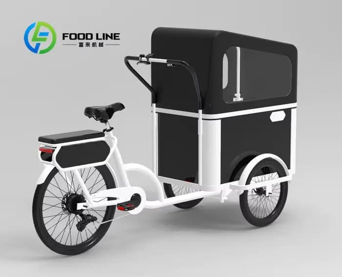 Vélo cargo à pédale électrique à 3 roues avec moteur arrière pour transporter des vélos électriques pour animaux de compagnie