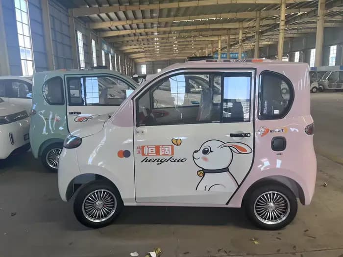 Véhicule électrique âgé de scooter de mobilité adulte à basse vitesse longue portée de tension 110V-260V