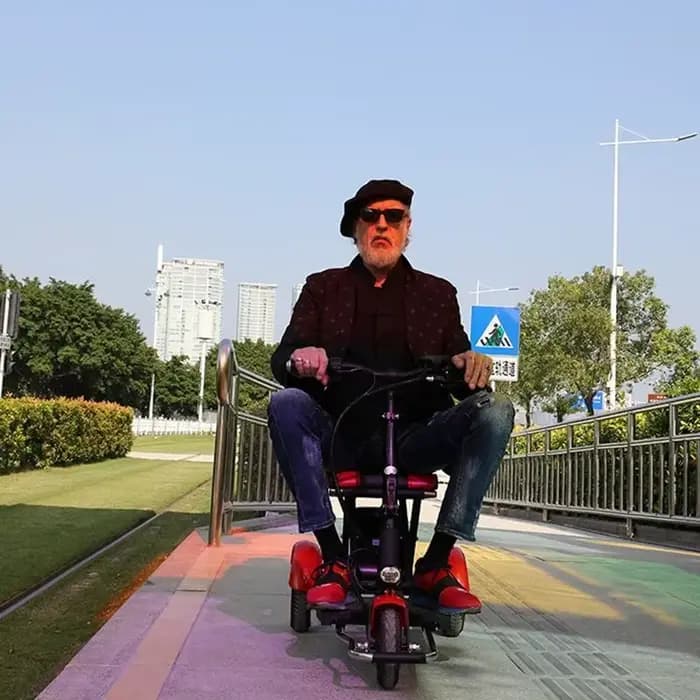 Scooter de mobilité adulte Tricycle électrique pliant à 3 roues 10 pouces 36V 300W vitesse 15 km/h