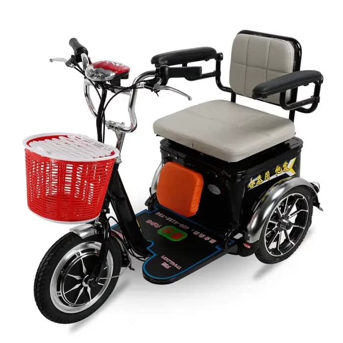Tricycle Cargo Électrique à 3 Roues pour Adulte et Enfant