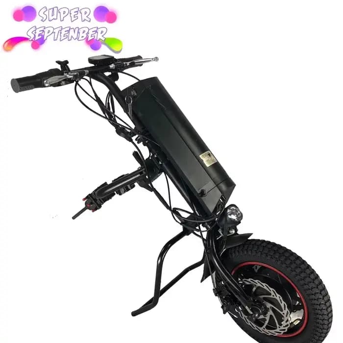 Fauteuil roulant électrique A6 A3 36V 350W avec cycle manuel pour personnes handicapées