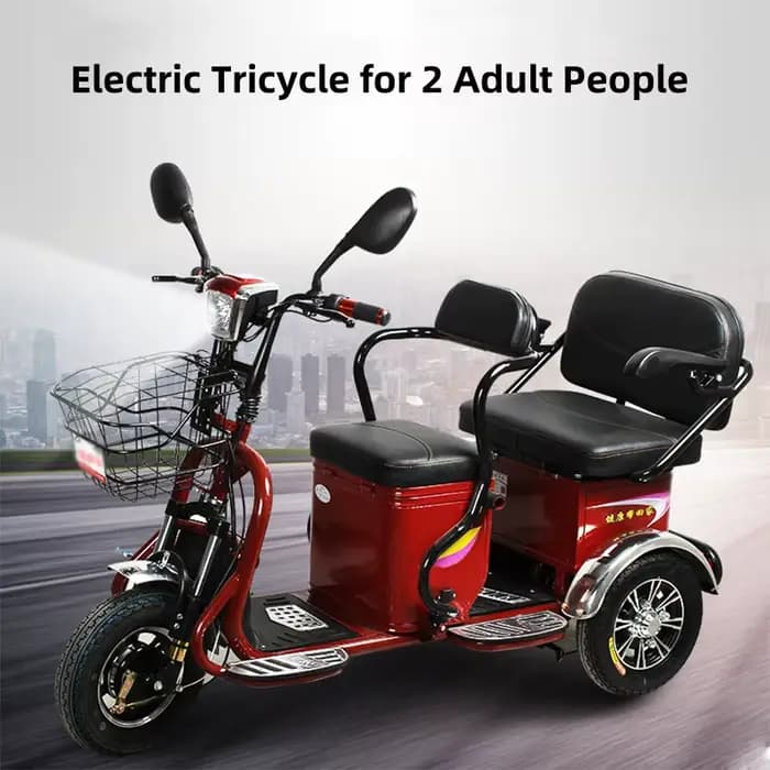 Mini Scooter électrique adulte 3 roues 48V 600W Tricycle