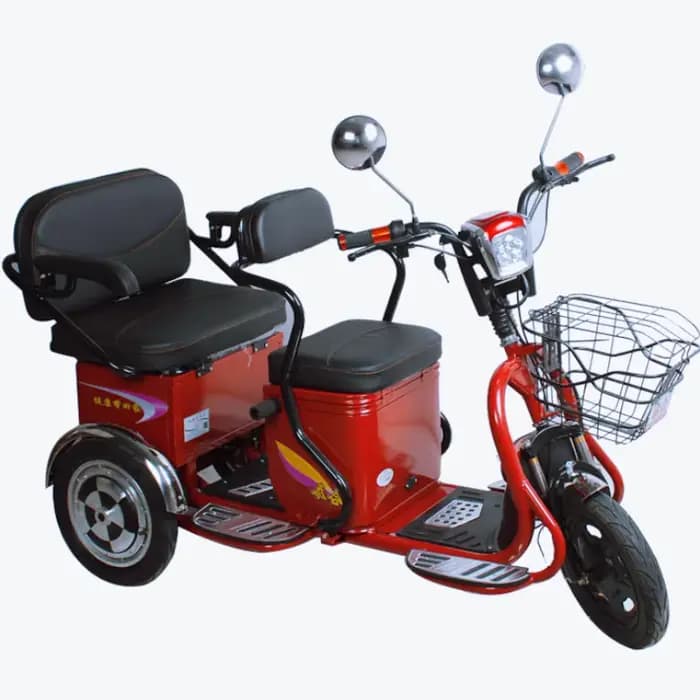 Mini Scooter électrique adulte 3 roues 48V 600W Tricycle
