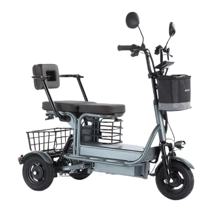 Scooter électrique à 3 roues 800W 48V