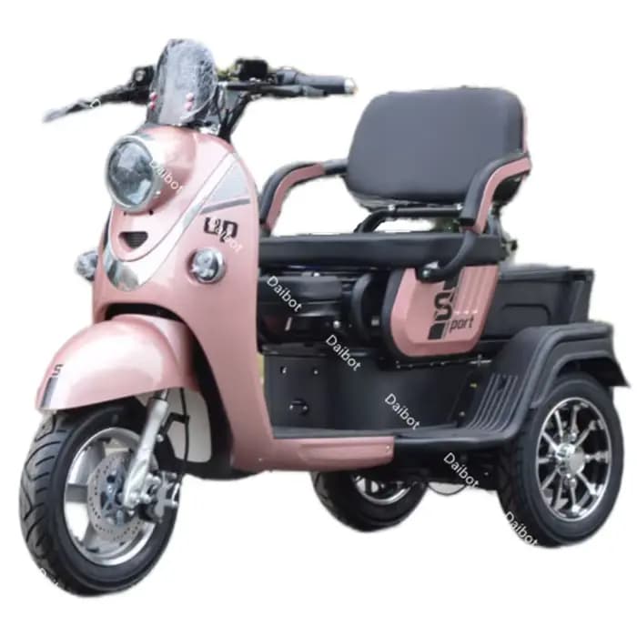 Tricycle électrique pour personnes âgées