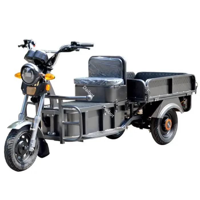 Scooter de mobilité électrique familial à 3 roues adulte tout Terrain pour les longs voyages Tricycl