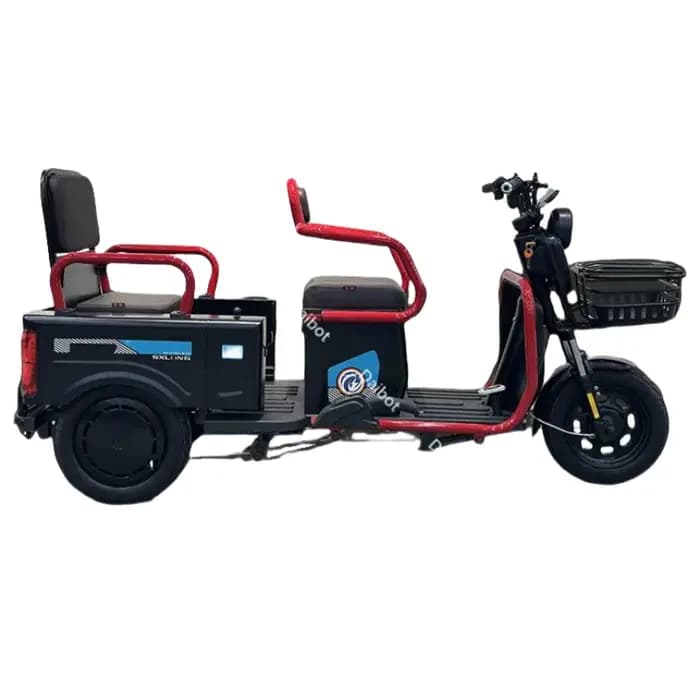 Scooter de mobilité pour Senior 3 roues Scooter électrique Cargo 600W 60V Tricycle électrique pour a