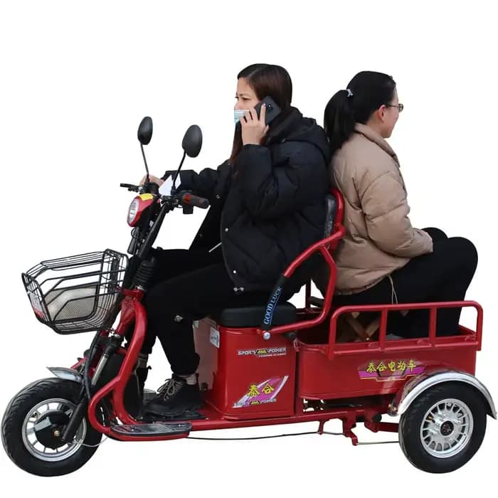 Tricycle électrique puissant à longue portée 1000W