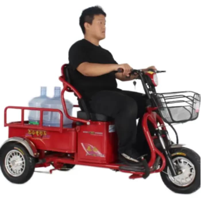 Tricycle électrique adulte à 3 roues pour personnes âgées