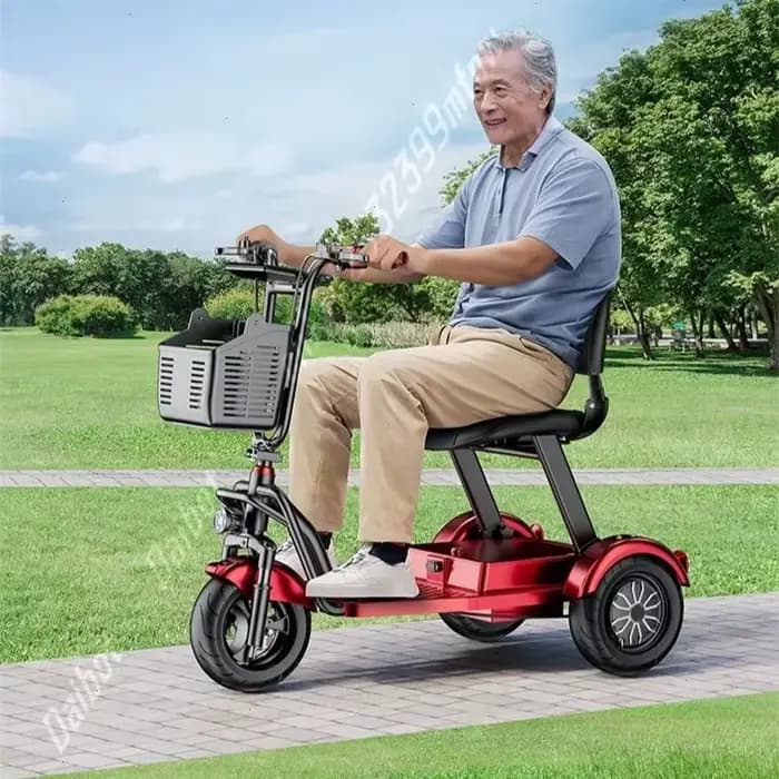 1000W puissant voyage 3 roues léger pliant Scooter de mobilité pour personnes âgées 48V petit Tricycle électrique