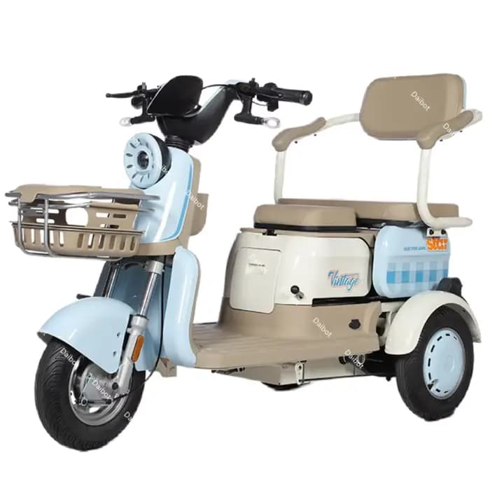 Trottinette Électrique à 3 Roues pour Adulte, Tricycle Cargo de 1000W, avec mir, pour Femme et Passa